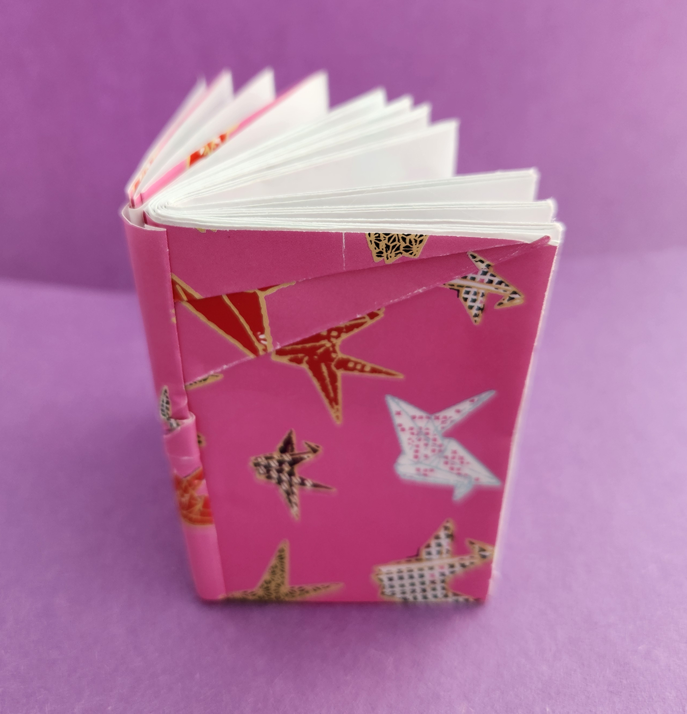 Snake Book