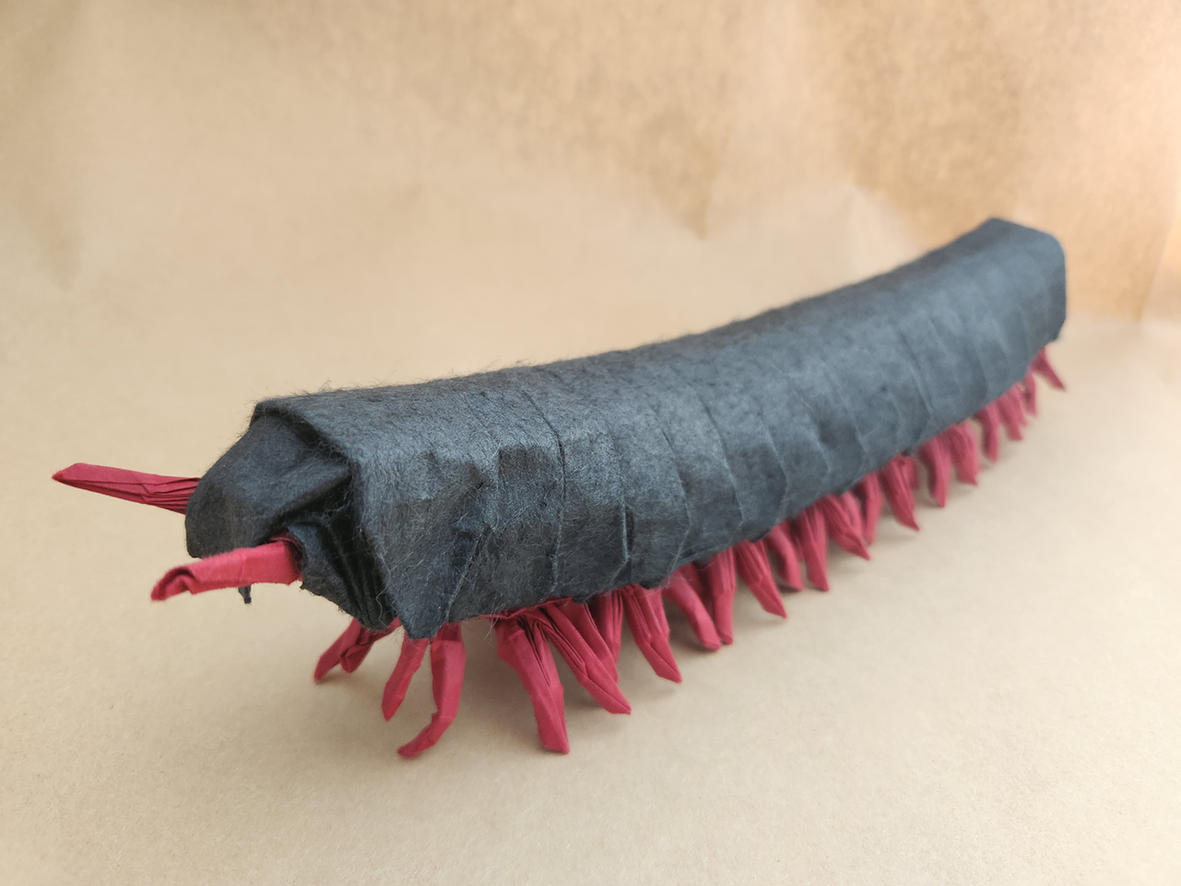 Young Millipede