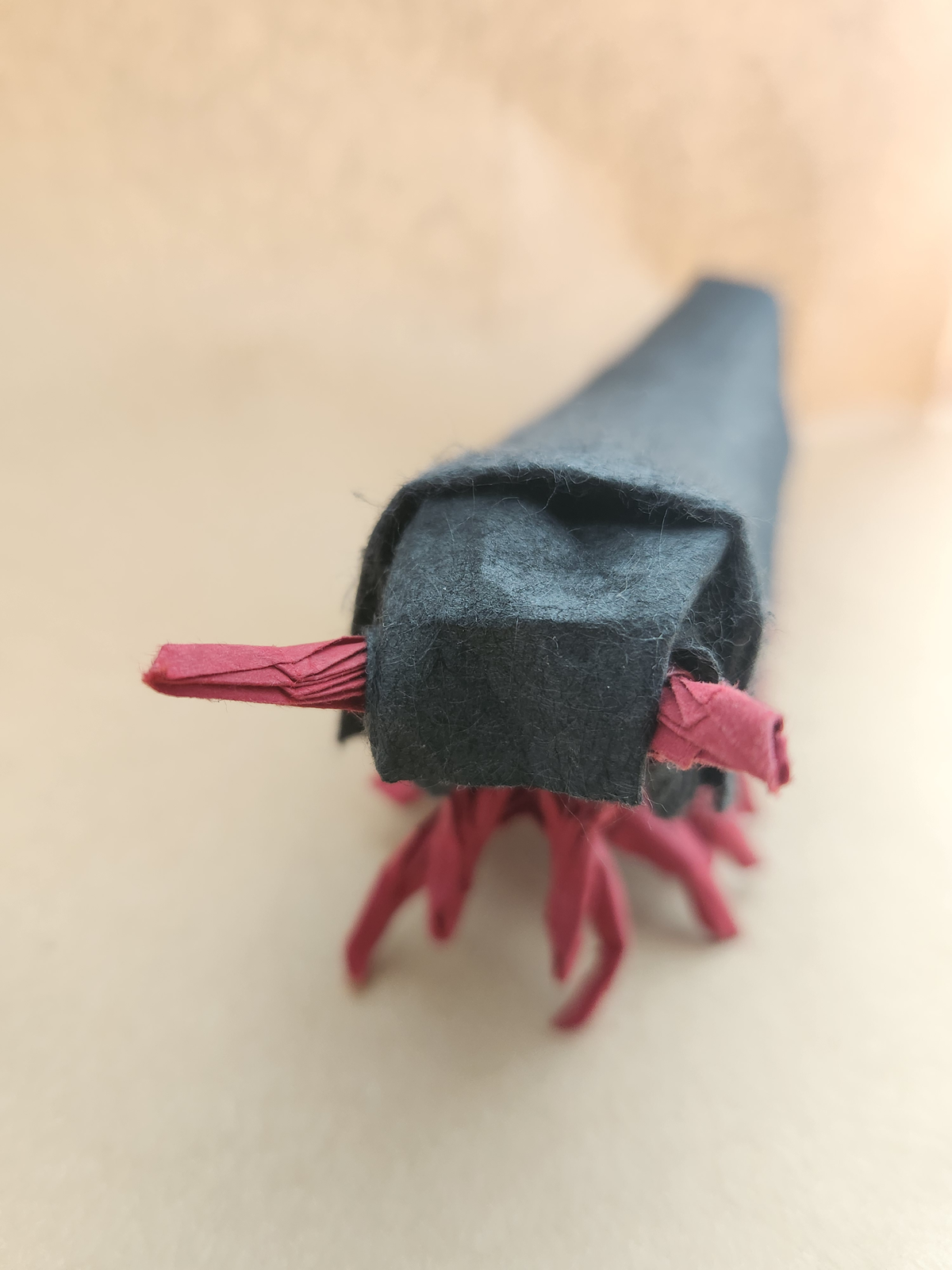 Front view of Young Millipede