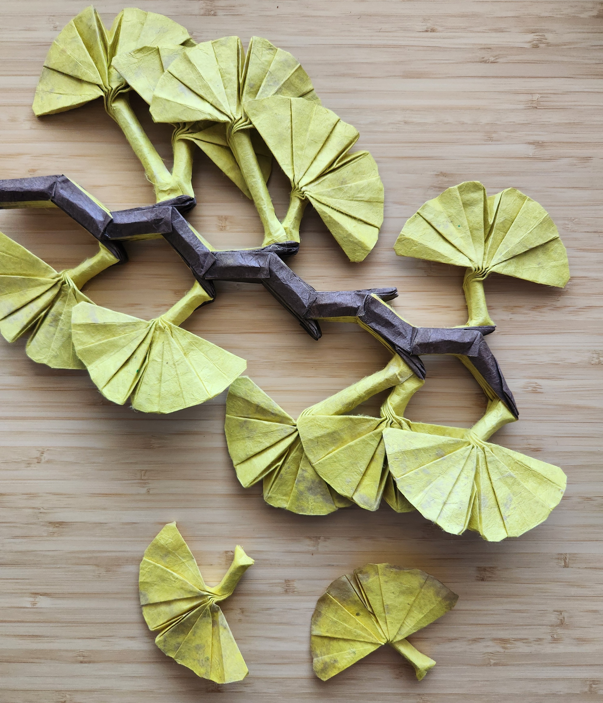 Ginkgo Branch